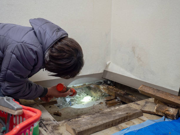Best Forensic Mold Investigation  in Mount Carmel, OH