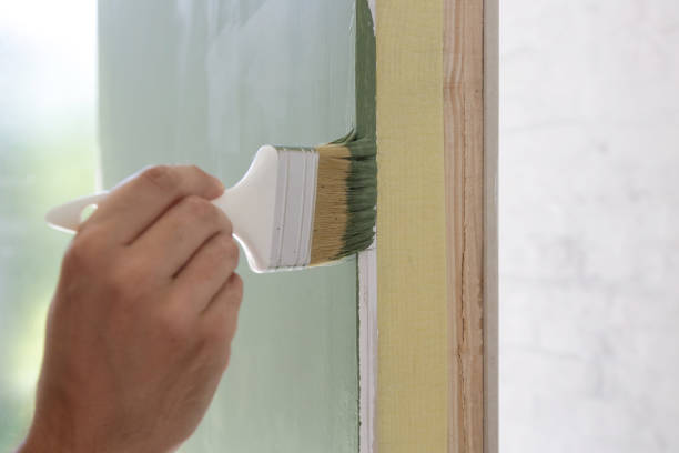 Best Mold Damage Restoration  in Mount Carmel, OH