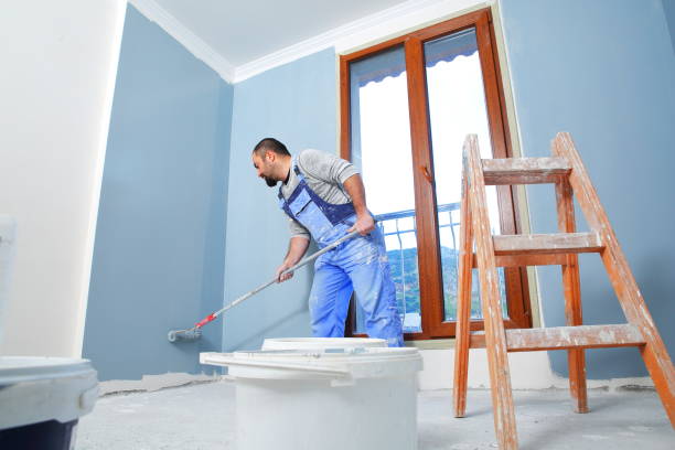 Best Mold Damage Restoration  in Mount Carmel, OH