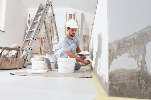 Best Mold Documentation for Insurance Claims  in Mount Carmel, OH