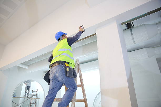 Best Basement Mold Removal  in Mount Carmel, OH