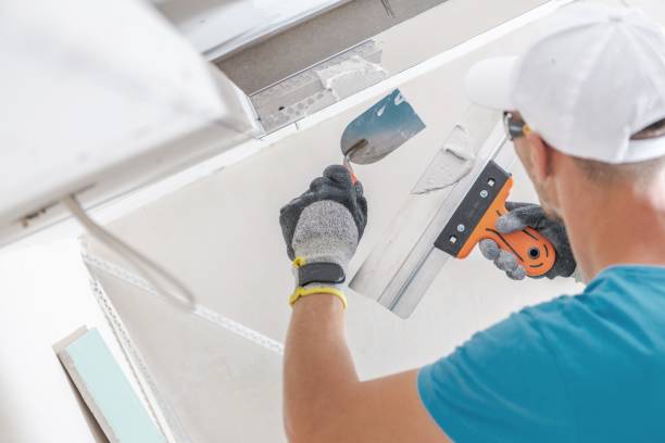Best Mold Odor Removal Services  in Mount Carmel, OH